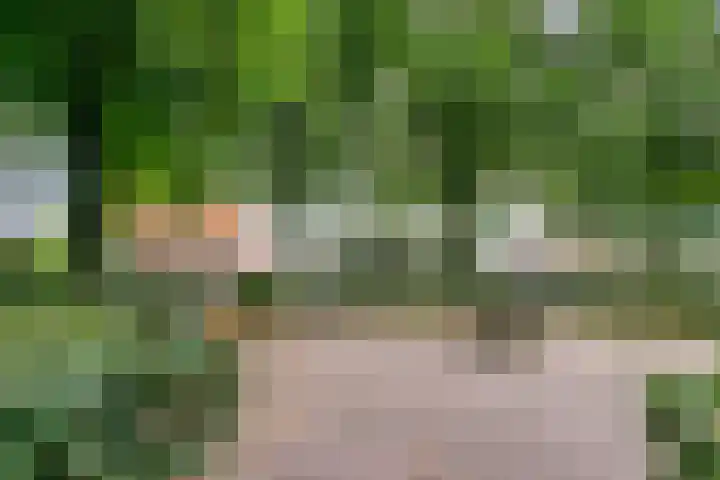 Molendijk 21 's Gravenmoer thumbnail 35