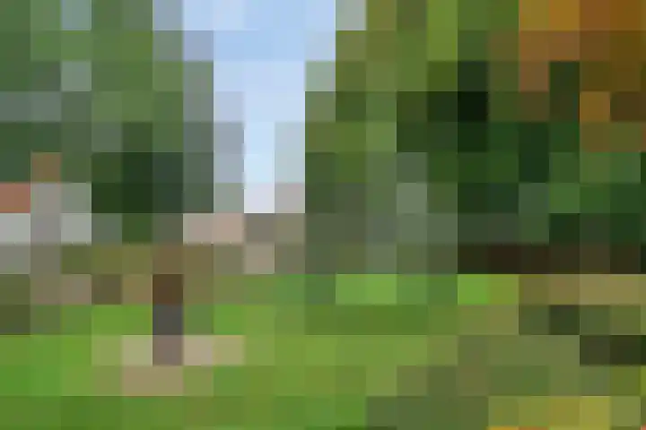 Molendijk 21 's Gravenmoer thumbnail 36