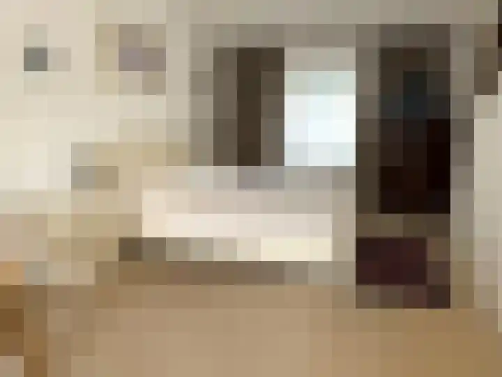 Molendijk 21 's Gravenmoer thumbnail 4