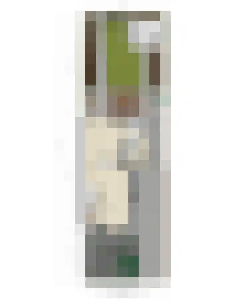 Molendijk 21 's Gravenmoer thumbnail 43