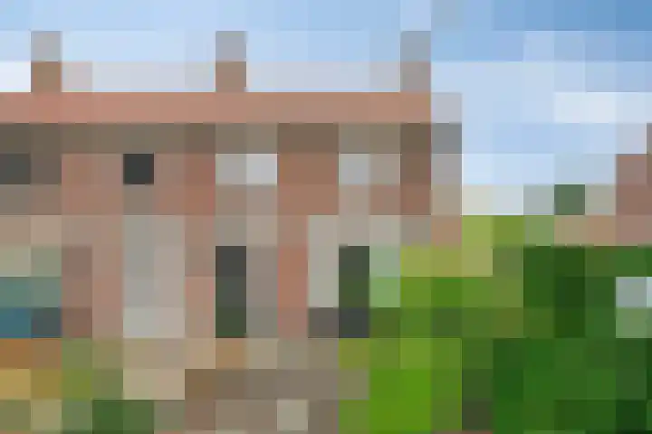 Molendijk 21 's Gravenmoer thumbnail 9