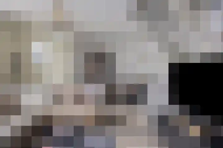 Molendijk 22 Dinteloord thumbnail 10