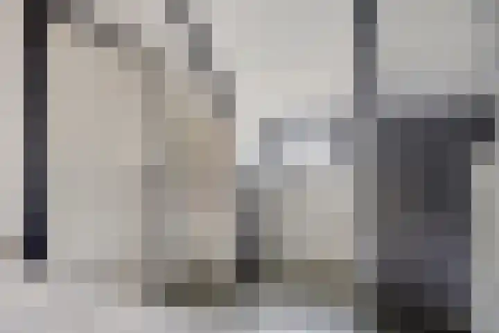 Molendijk 22 Dinteloord thumbnail 15