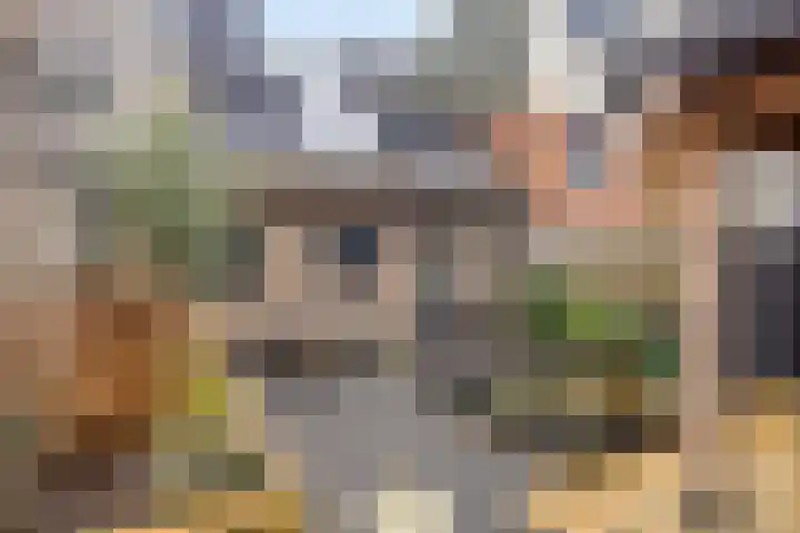 Molendijk 22 Dinteloord thumbnail 21