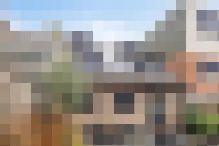 Molendijk 22 Dinteloord thumbnail 22