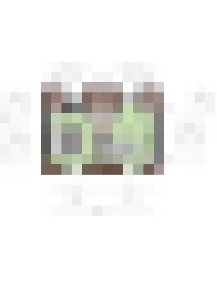 Molendijk 22 Dinteloord thumbnail 27