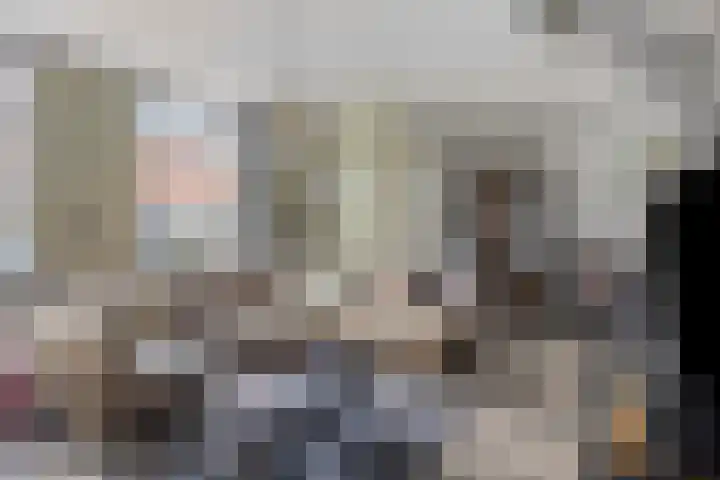 Molendijk 22 Dinteloord thumbnail 8