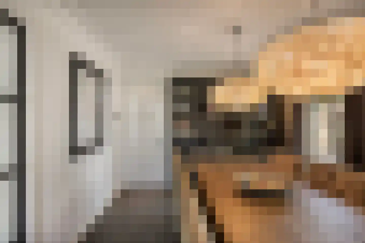 Molendijk 24 Numansdorp thumbnail 15