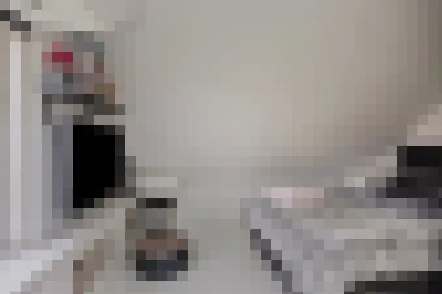 Molendijk 24 Numansdorp thumbnail 28