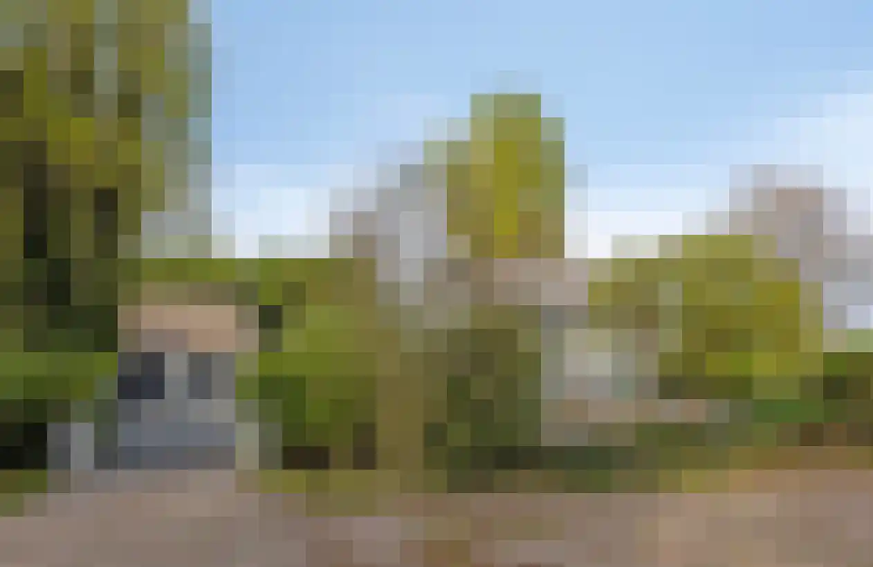 Molendijk 24 Numansdorp thumbnail 4