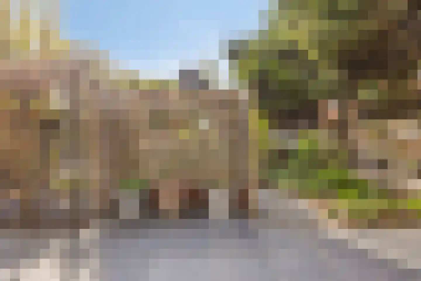 Molendijk 24 Numansdorp thumbnail 45