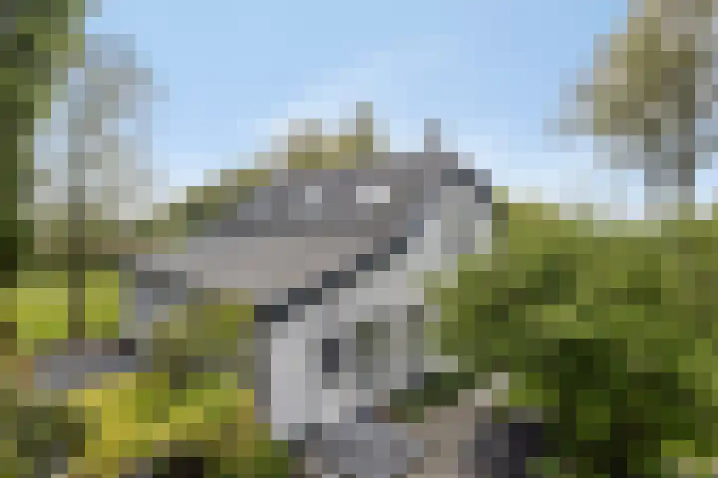 Molendijk 24 Numansdorp thumbnail 47