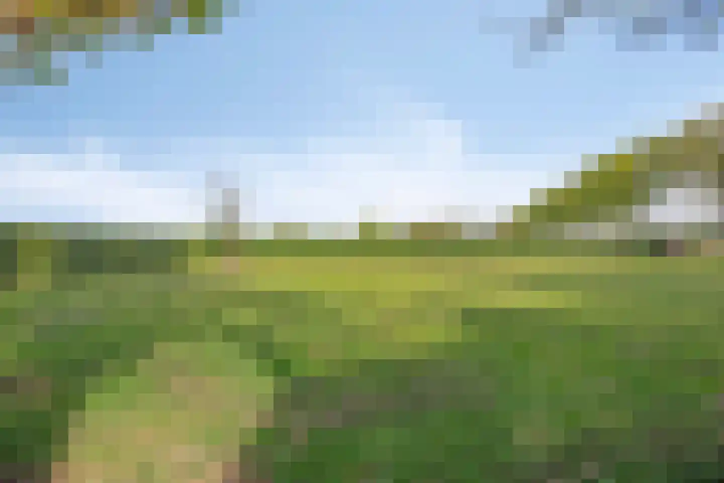 Molendijk 24 Numansdorp thumbnail 48