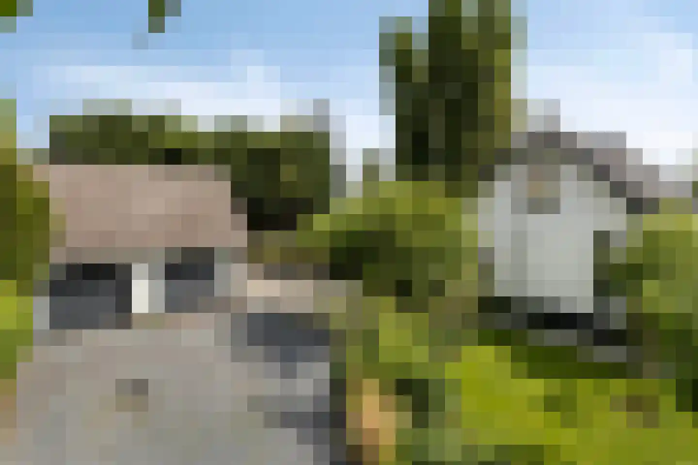 Molendijk 24 Numansdorp thumbnail 5