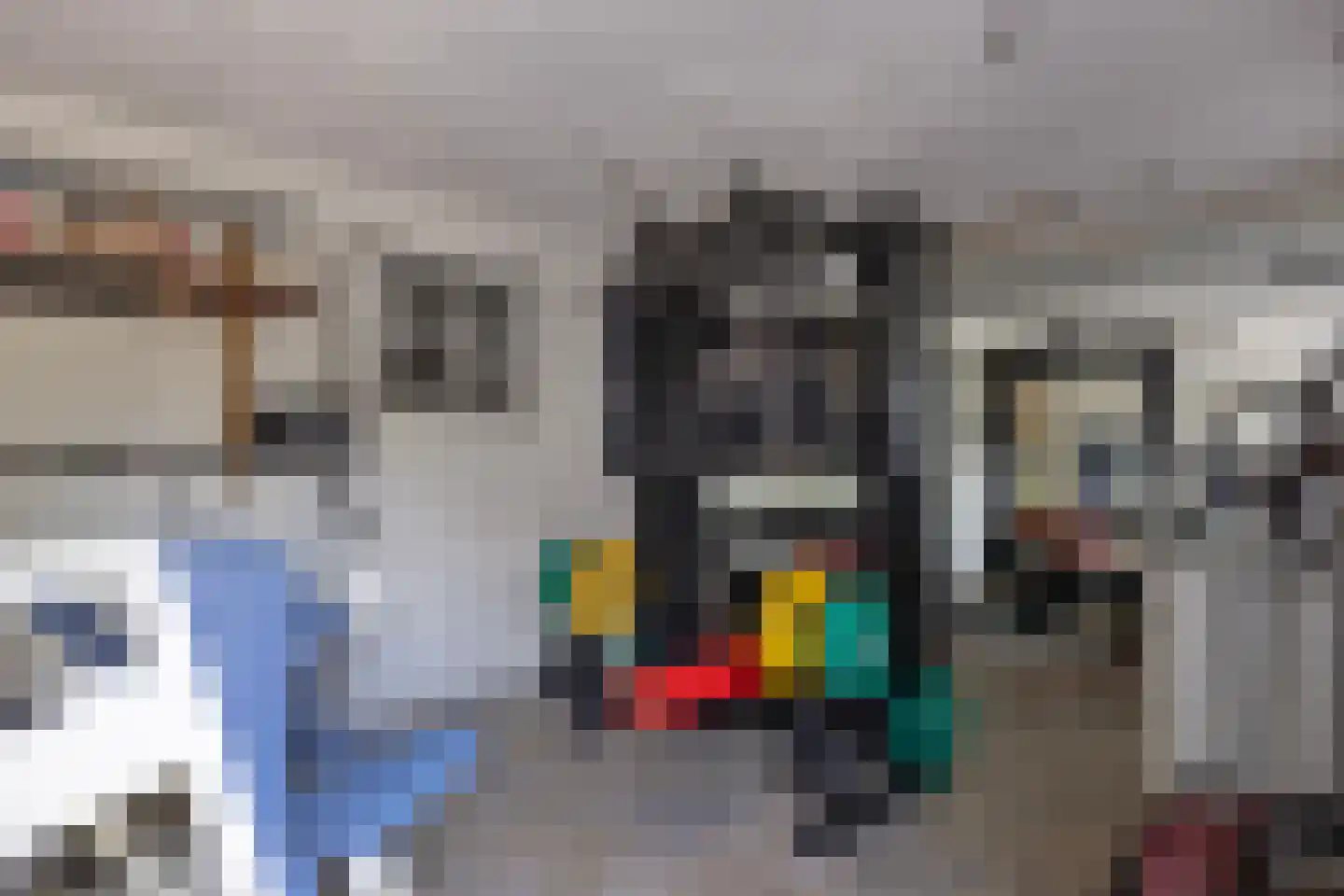 Molendijk 24 Numansdorp thumbnail 55