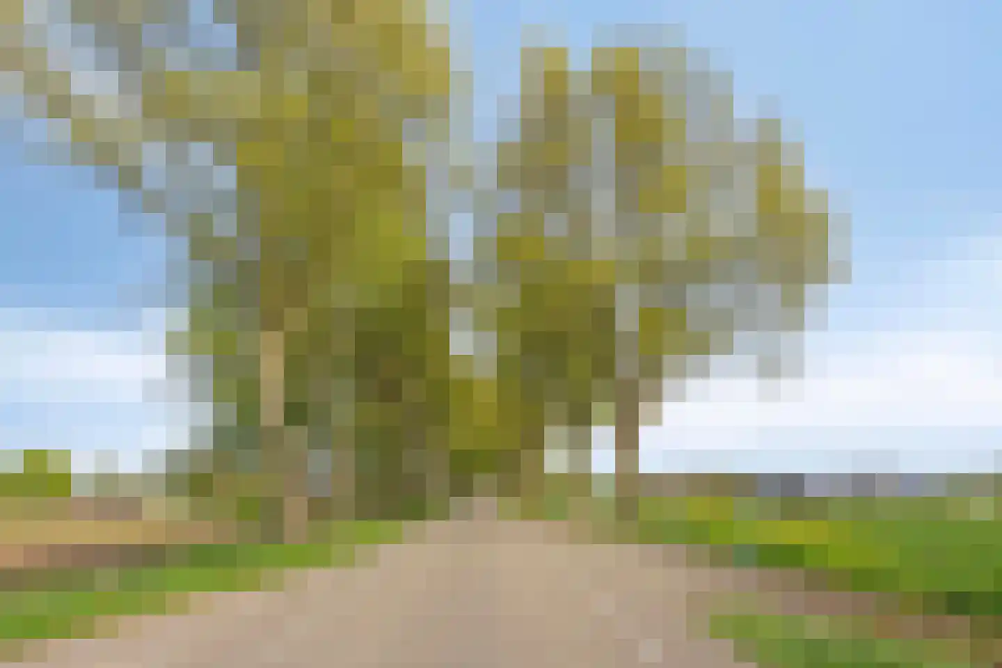 Molendijk 24 Numansdorp thumbnail 57