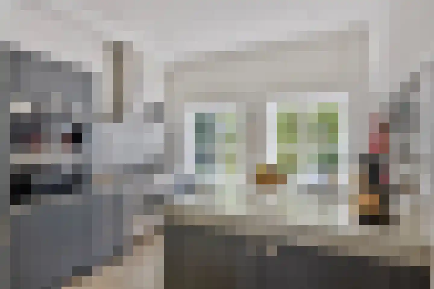 Molendijk 24 Numansdorp thumbnail 8