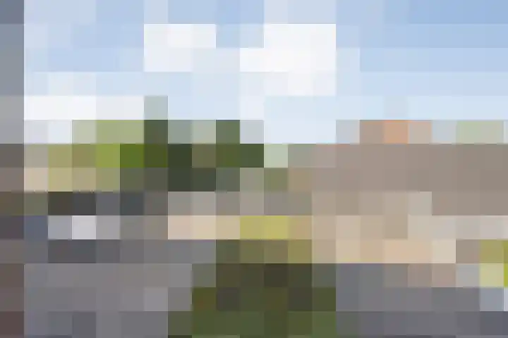 Molendijk 27 Dalfsen thumbnail 32