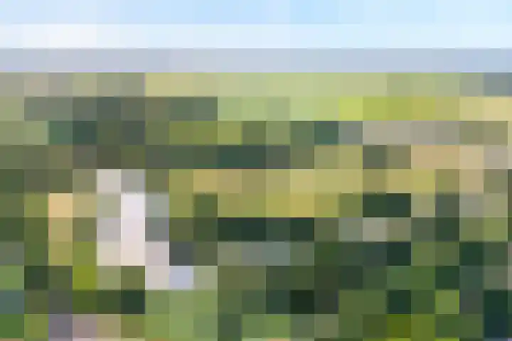 Molendijk 27 Dalfsen thumbnail 5