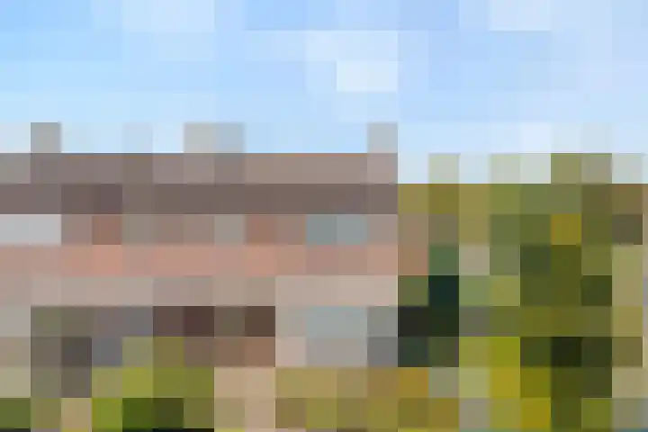 Molendijk 27 Dalfsen thumbnail 6