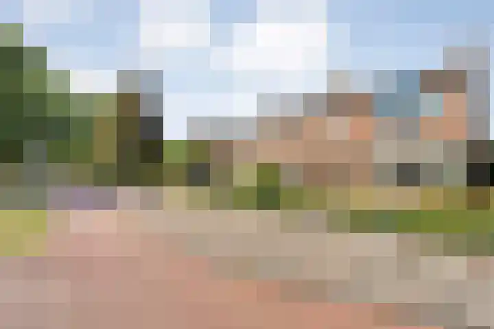 Molendijk 27 Dalfsen thumbnail 7