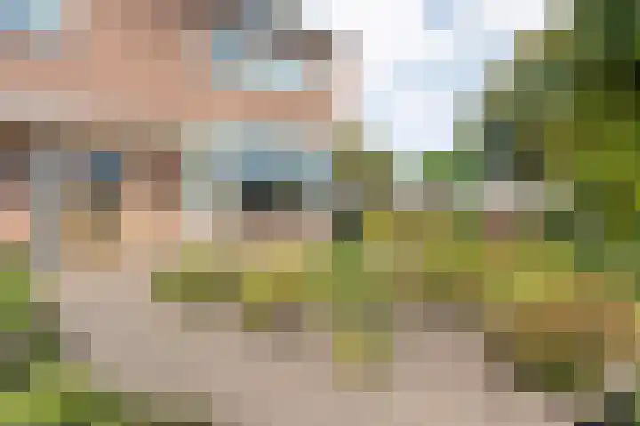 Molendijk 27 Dalfsen thumbnail 8