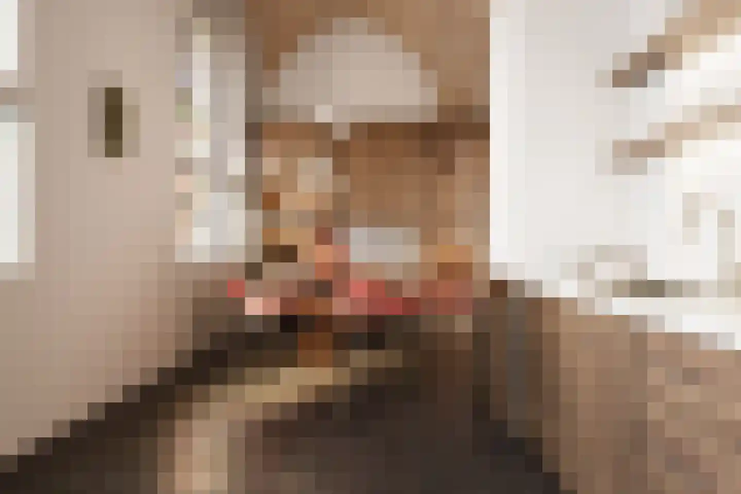 Molendijk 3 Batenburg thumbnail 18