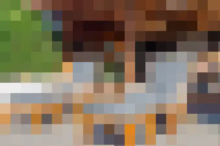 Molendijk 34 's Gravenmoer thumbnail 33