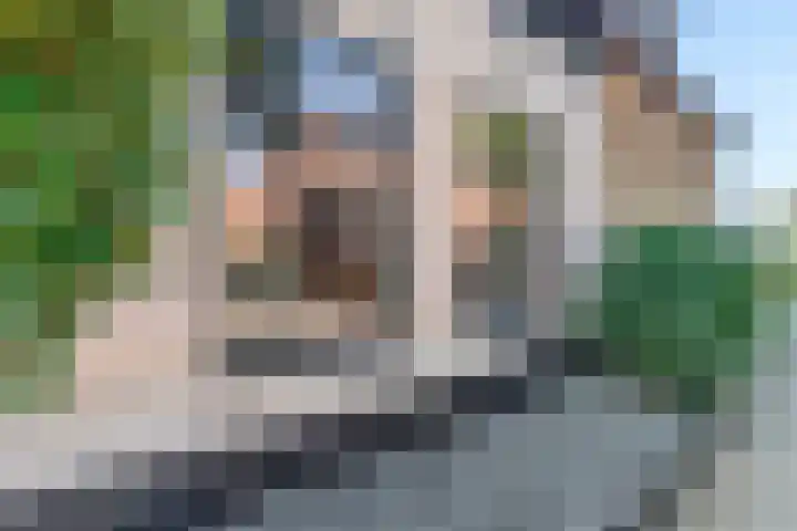 Molendijk 34 's Gravenmoer thumbnail 41