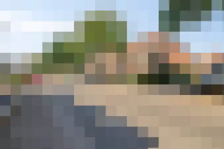 Molendijk 34 's Gravenmoer thumbnail 43