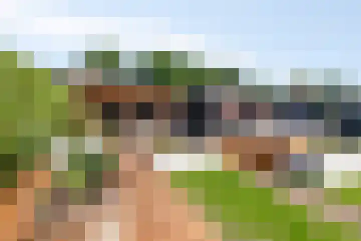 Molendijk 34 's Gravenmoer thumbnail 6