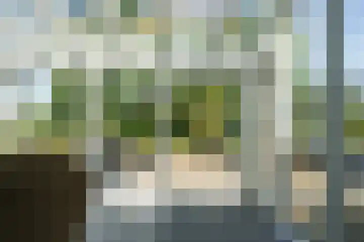 Molendijk 4 Alphen thumbnail 13