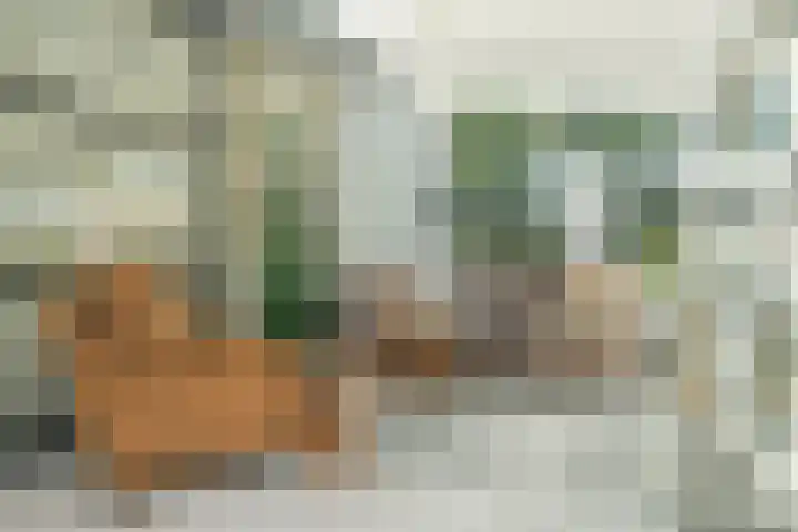 Molendijk 4 Alphen thumbnail 14