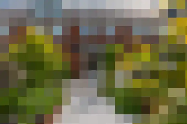 Molendijk 4 Alphen thumbnail 16