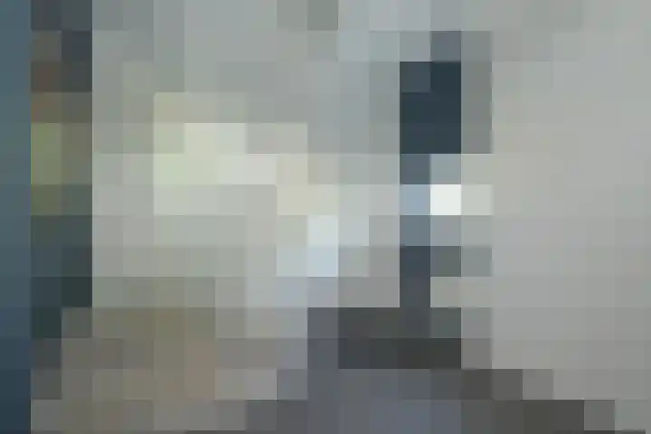 Molendijk 4 Alphen thumbnail 19