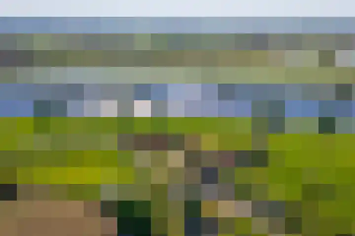 Molendijk 4 Alphen foto 2