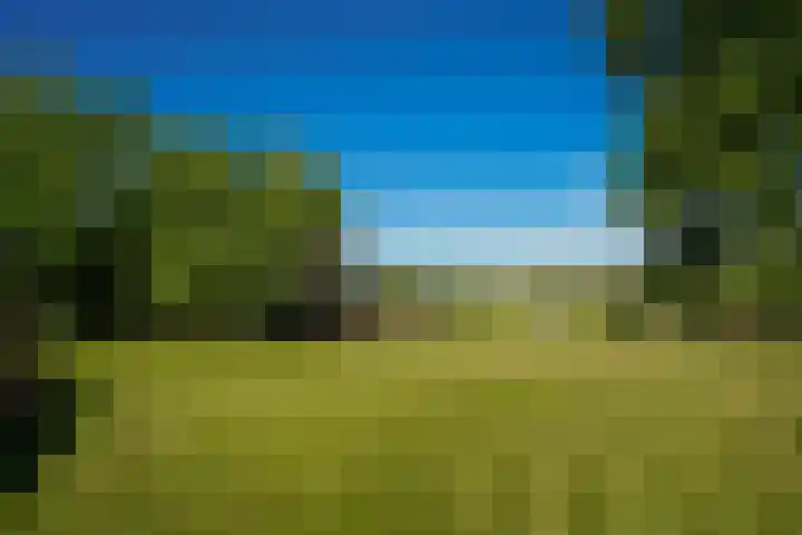 Molendijk 4 Alphen thumbnail 34