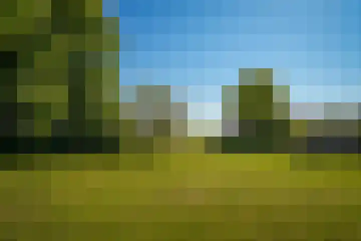 Molendijk 4 Alphen thumbnail 35