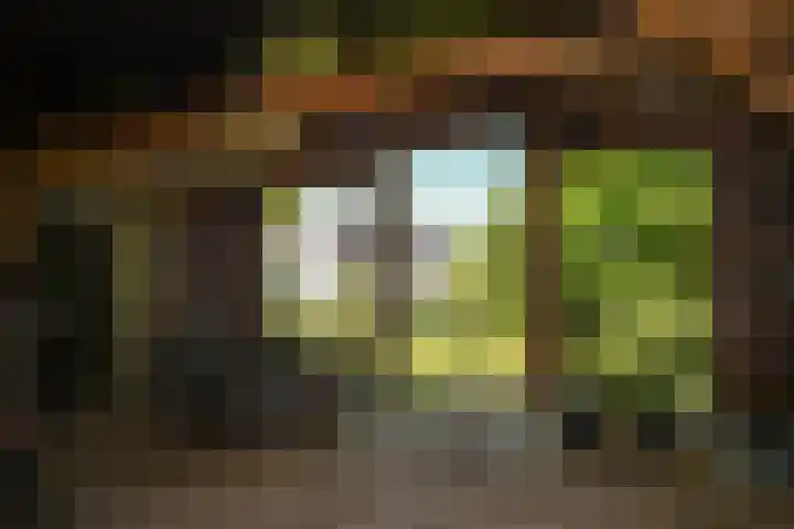 Molendijk 4 Alphen thumbnail 40