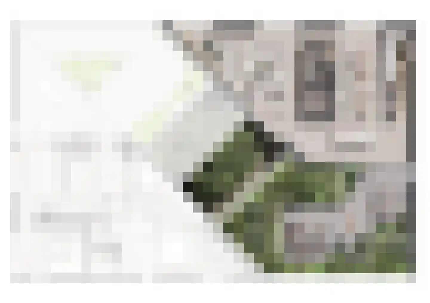 Molendijk 4 Alphen thumbnail 46