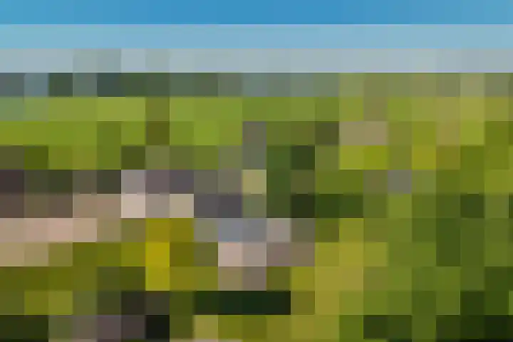 Molendijk 4 Alphen thumbnail 48