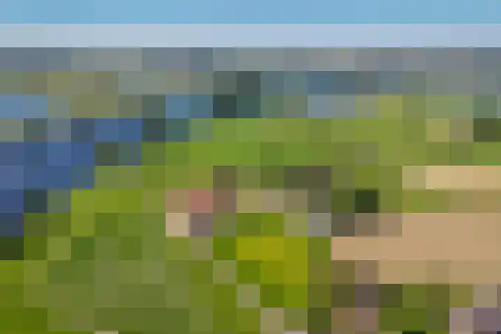 Molendijk 4 Alphen thumbnail 49