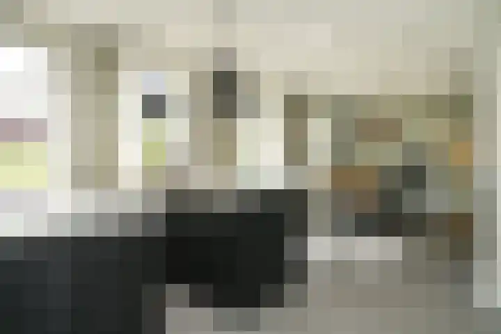 Molendijk 4 Alphen thumbnail 5