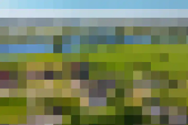 Molendijk 4 Alphen thumbnail 50