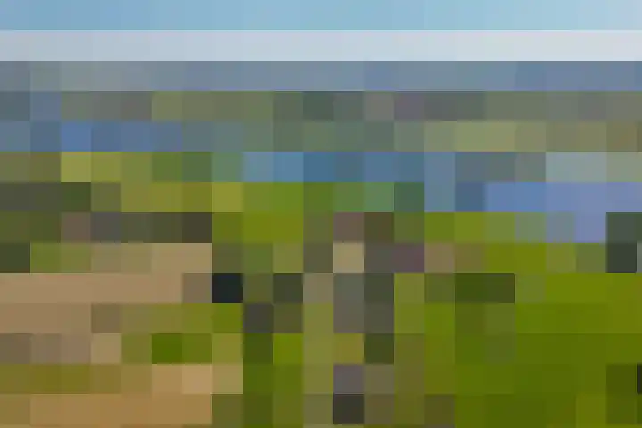 Molendijk 4 Alphen thumbnail 51