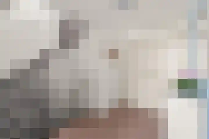 Molendijk 4 Alphen thumbnail 6