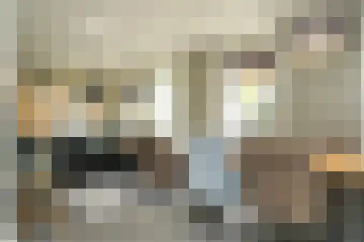 Molendijk 4 Alphen thumbnail 9