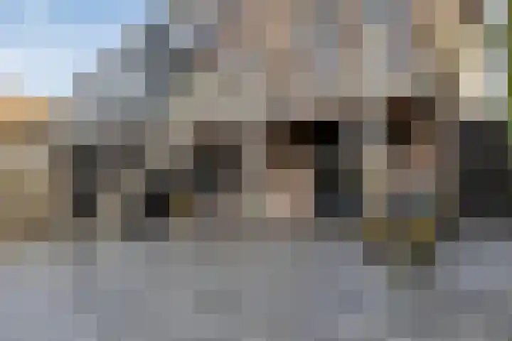 Molendijk 45 Herkingen thumbnail 36