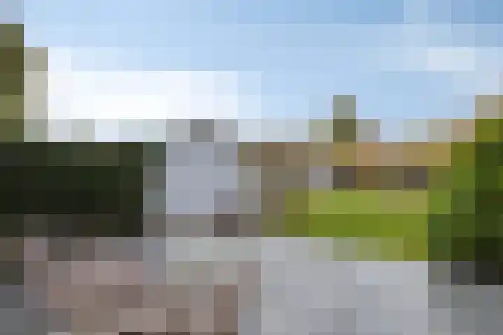 Molendijk 45 Herkingen thumbnail 37