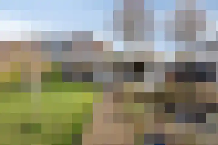 Molendijk 45 Herkingen thumbnail 39